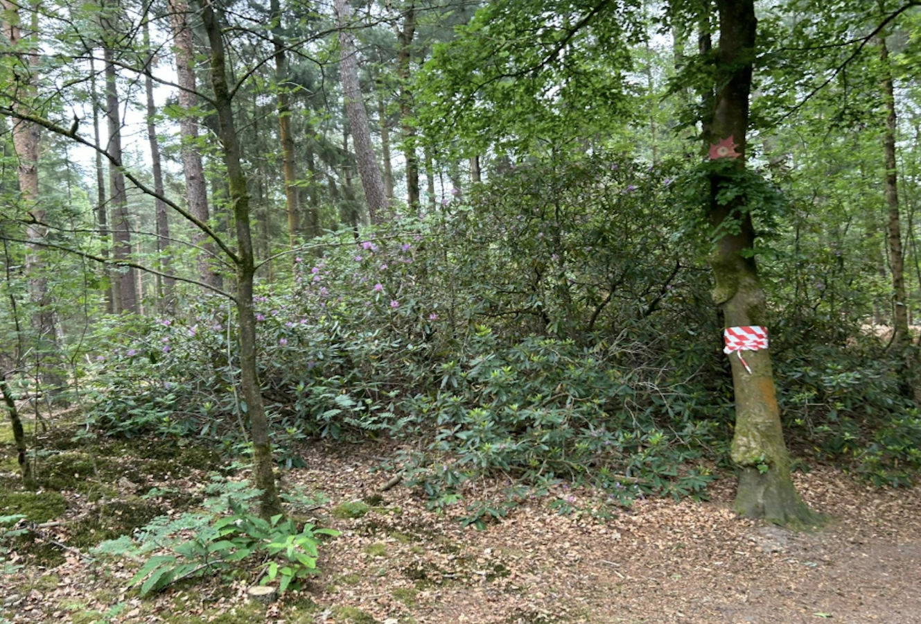 Natuuromgeving langs het parcours van de Brabantse Wal Marathon
