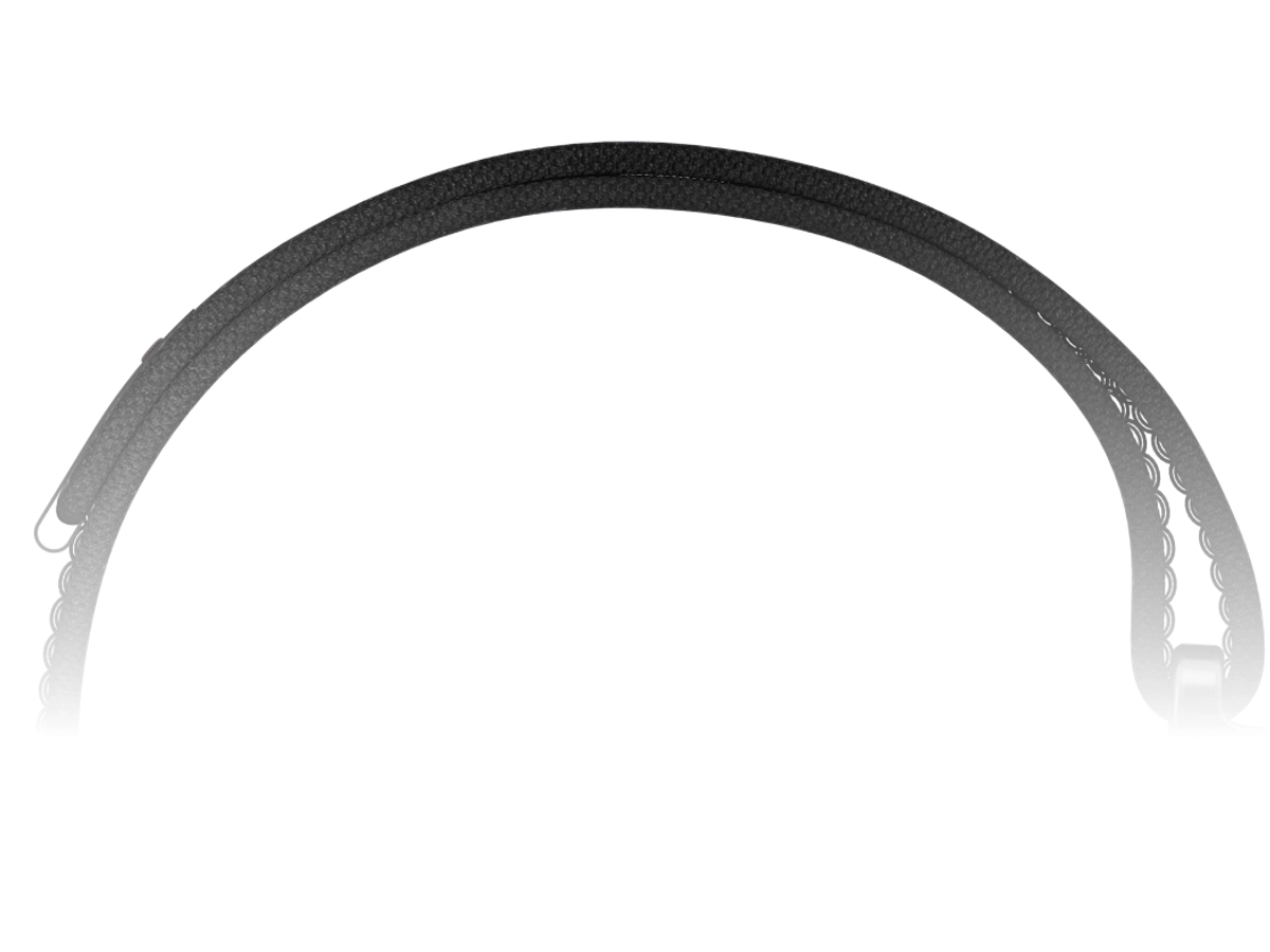 Polar Strap uiterlijk