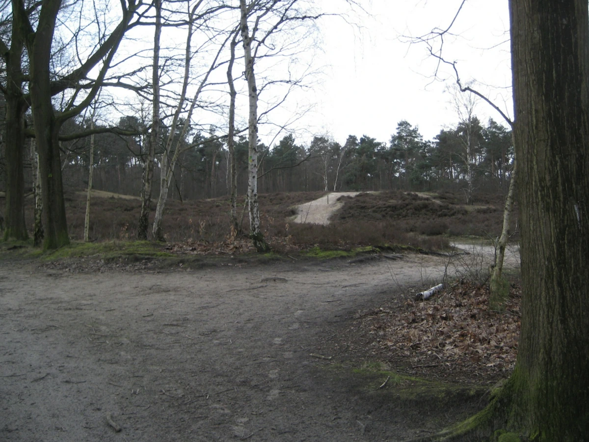 Zanderig pad in het parcours van de Brabantse Wal Marathon