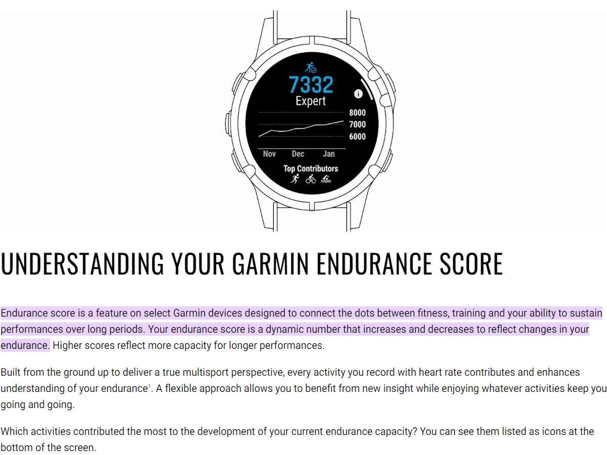 wat is garmin endurance score