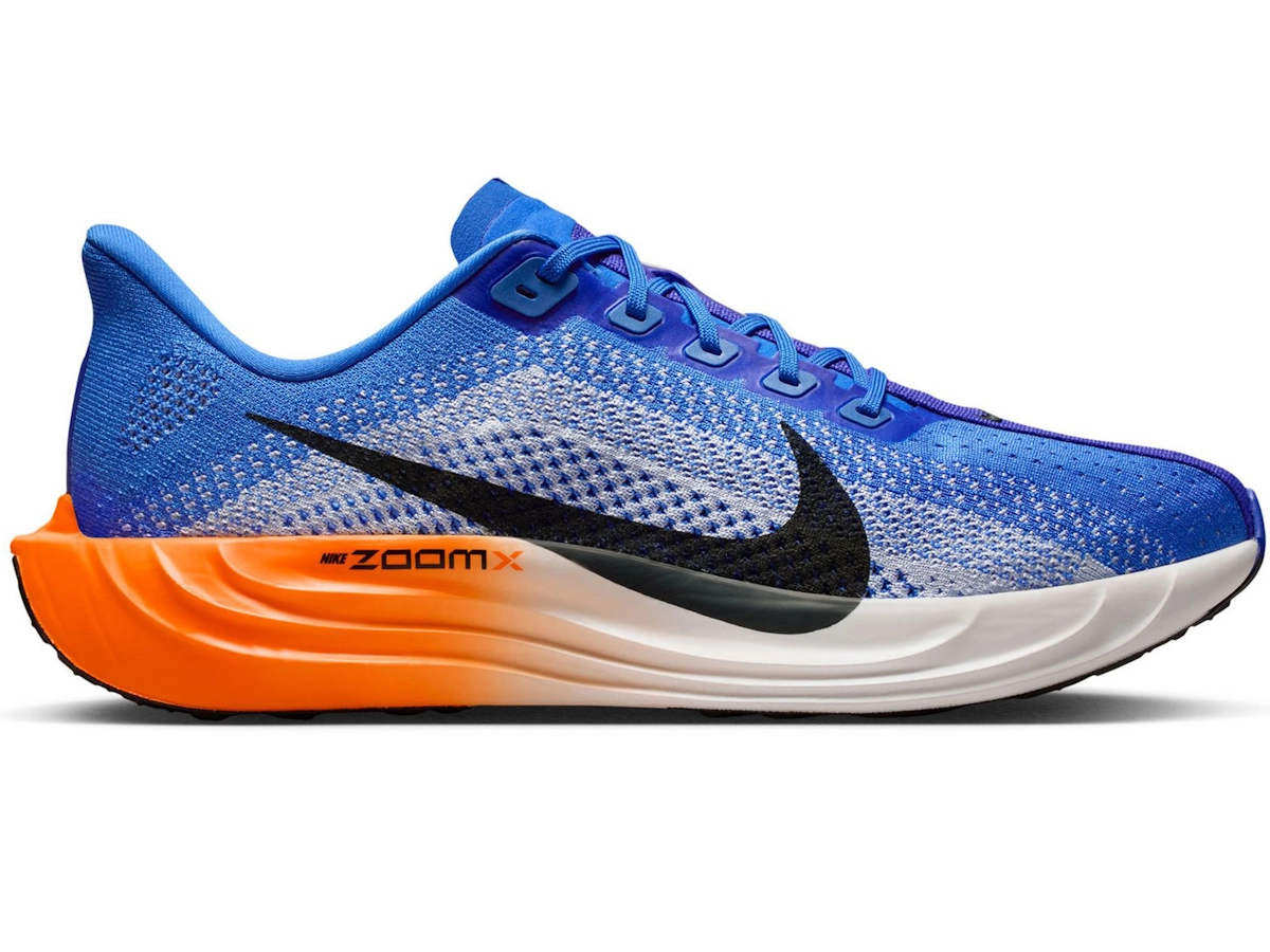 Nike Pegasus 42